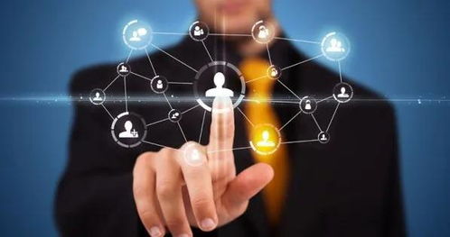 中世华安 企业为何需要“三位一体”管理咨询服务